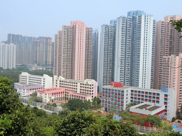 博愛醫院陳國威小學