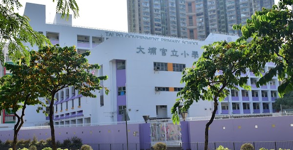 大埔官立小學