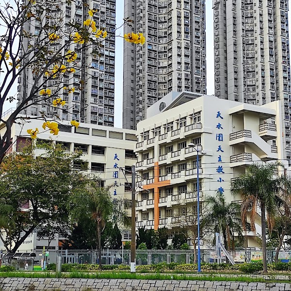 天水圍天主教小學