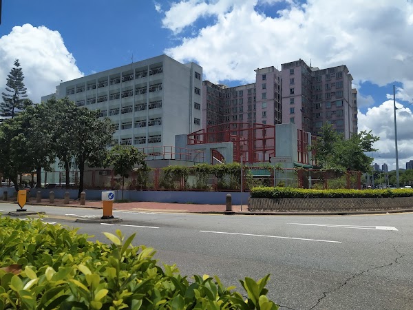 元朗公立中學校友會小學